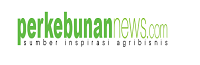 buat website bonus pelatihan digital marketing & cloud hosting
